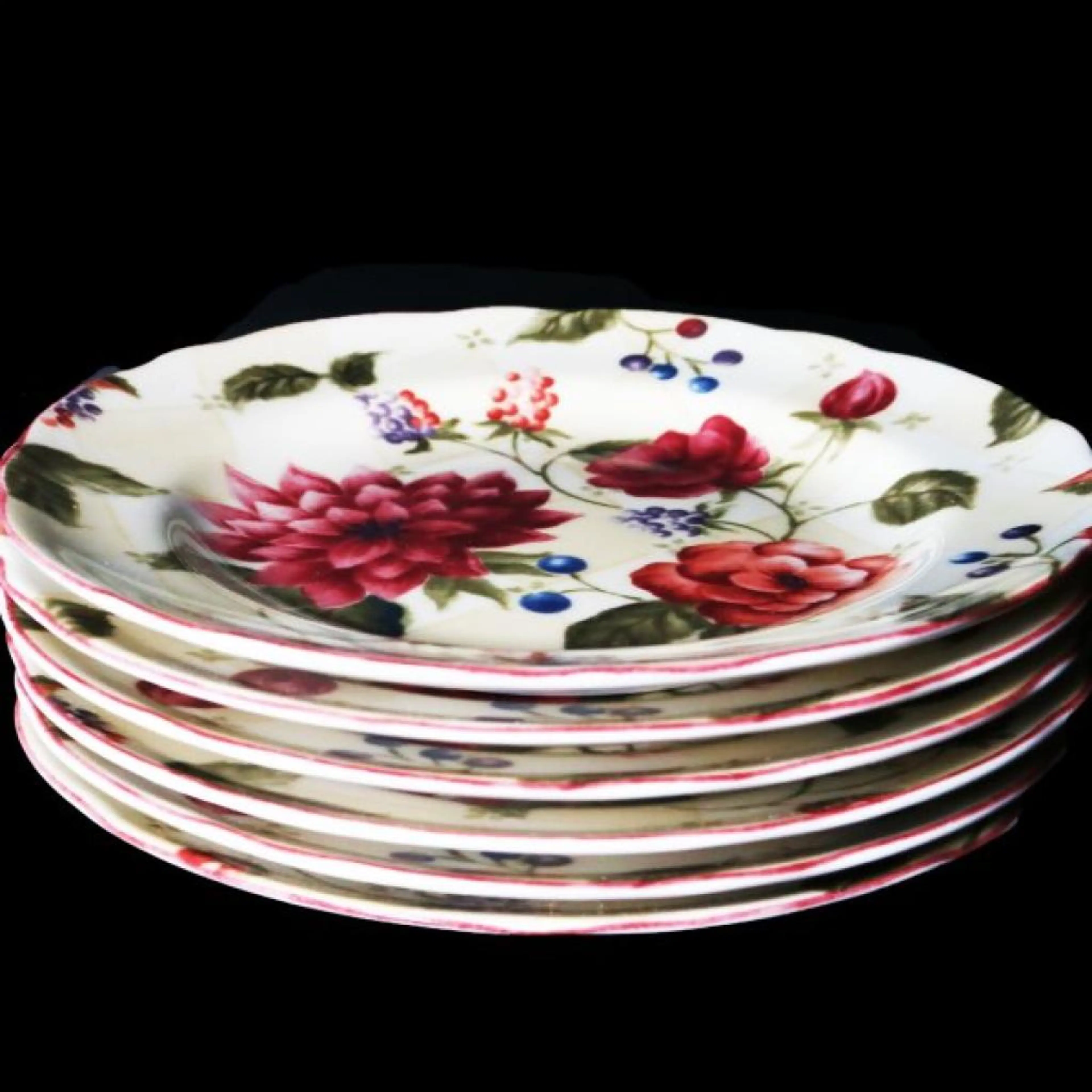 Ceramic Plates Set Of 6