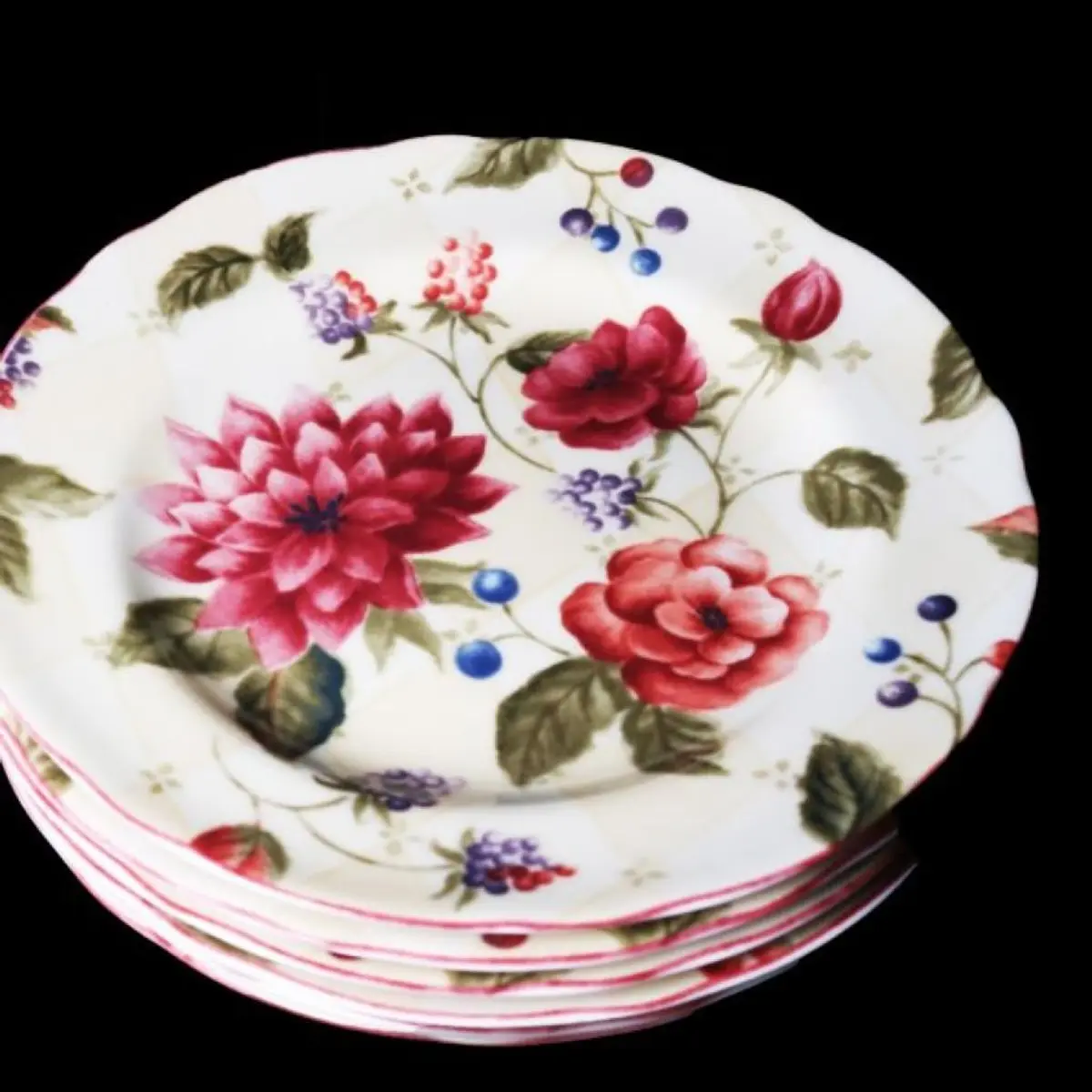 Ceramic Plates Set Of 6