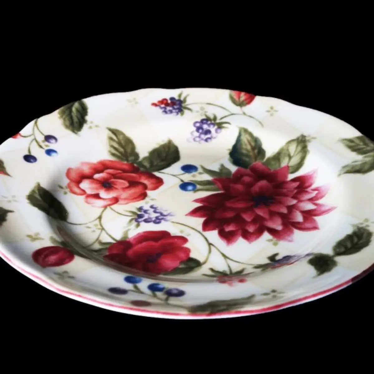 Ceramic Plates Set Of 6