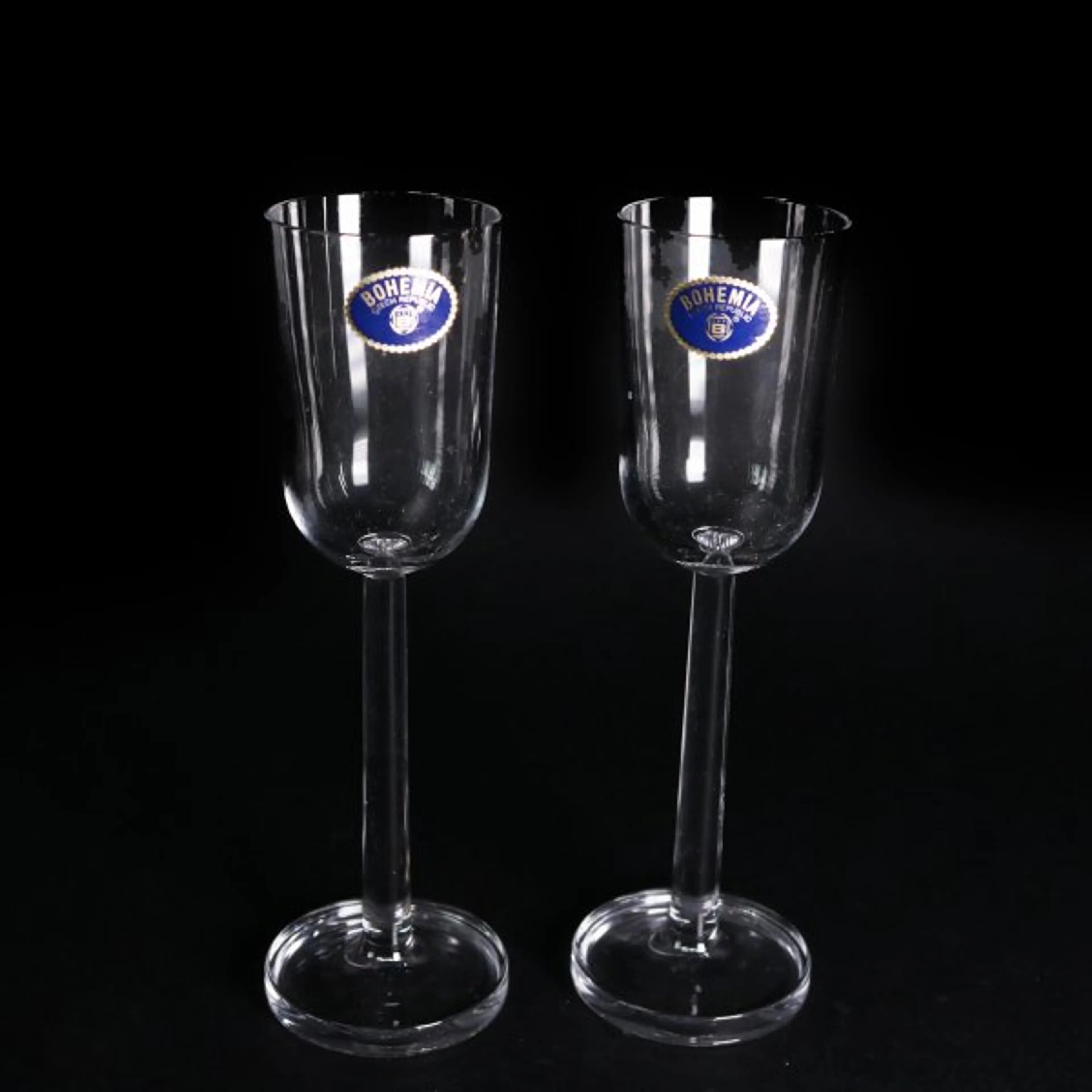 Champagne Glass 2 Pcs