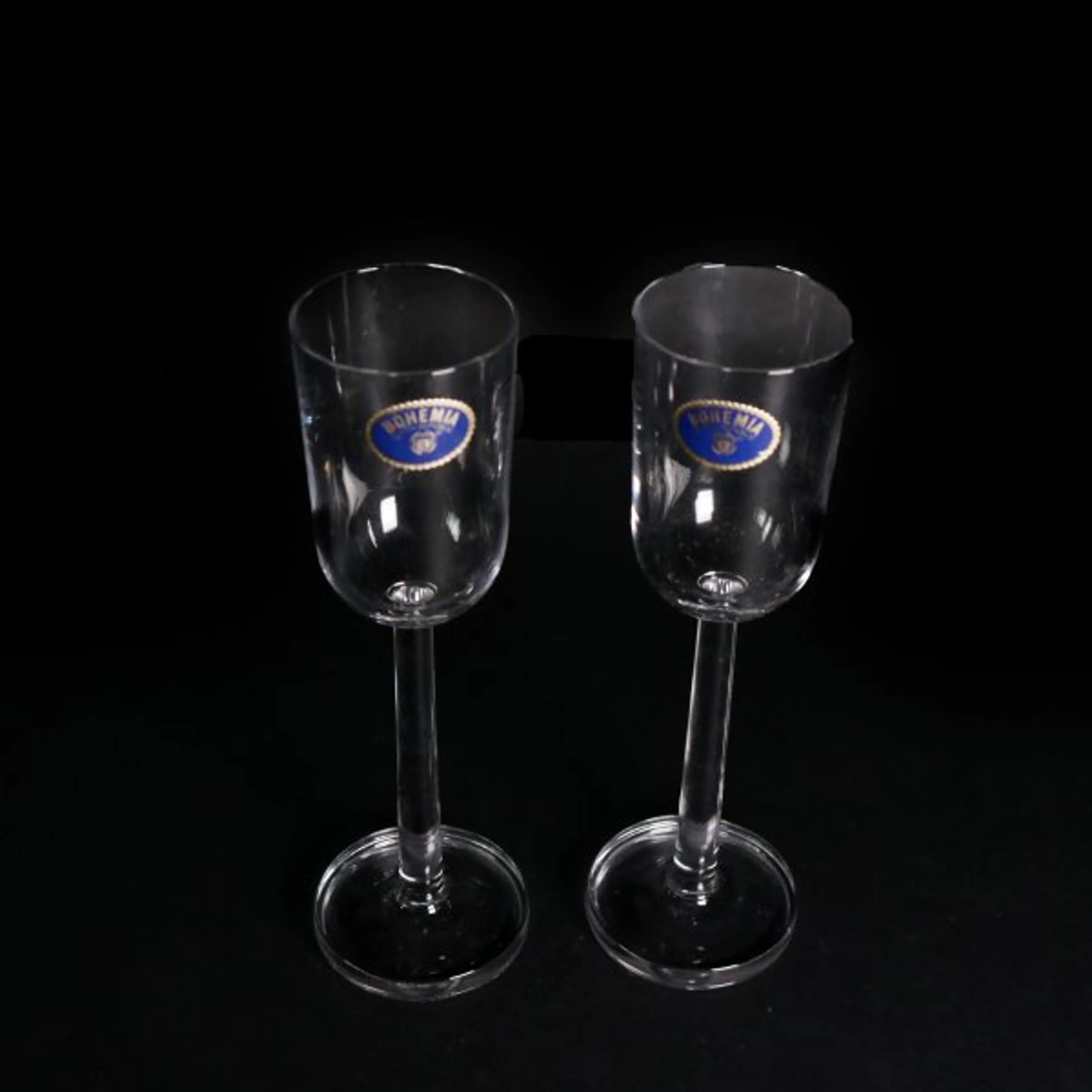 Champagne Glass 2 Pcs