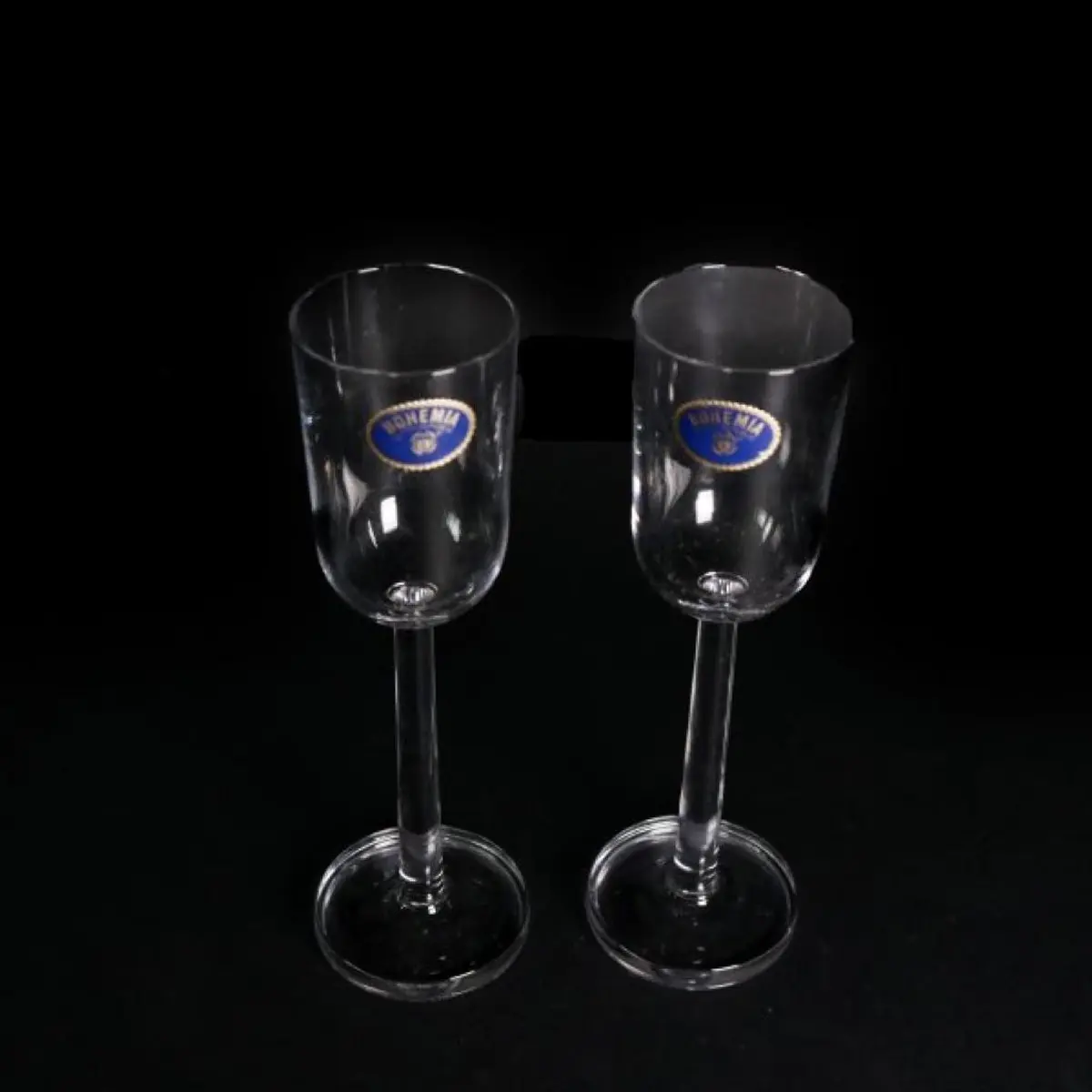 Champagne Glass 2 Pcs