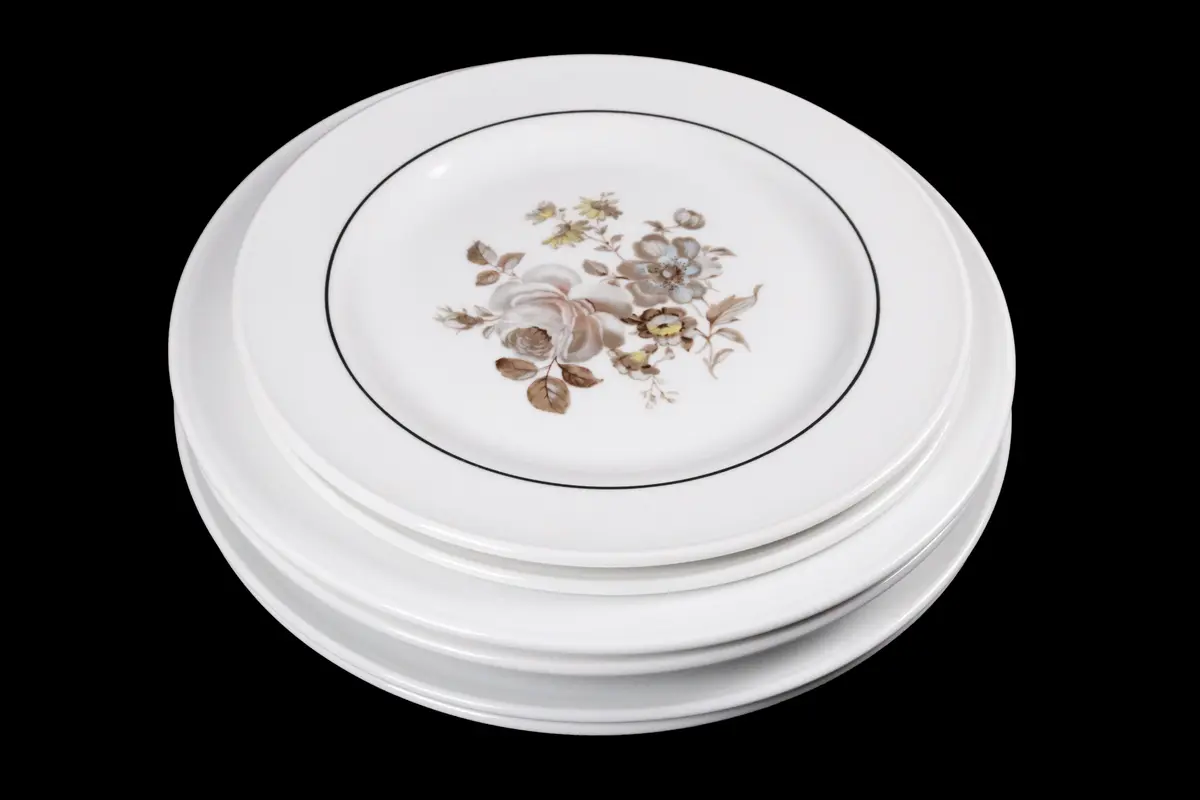 Dining Plates set of 6pcs.