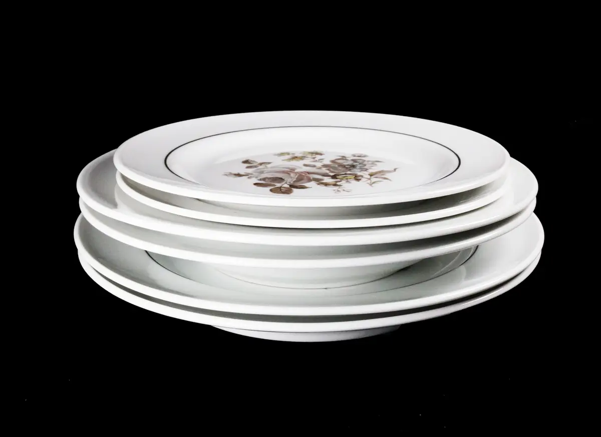 Dining Plates set of 6pcs.