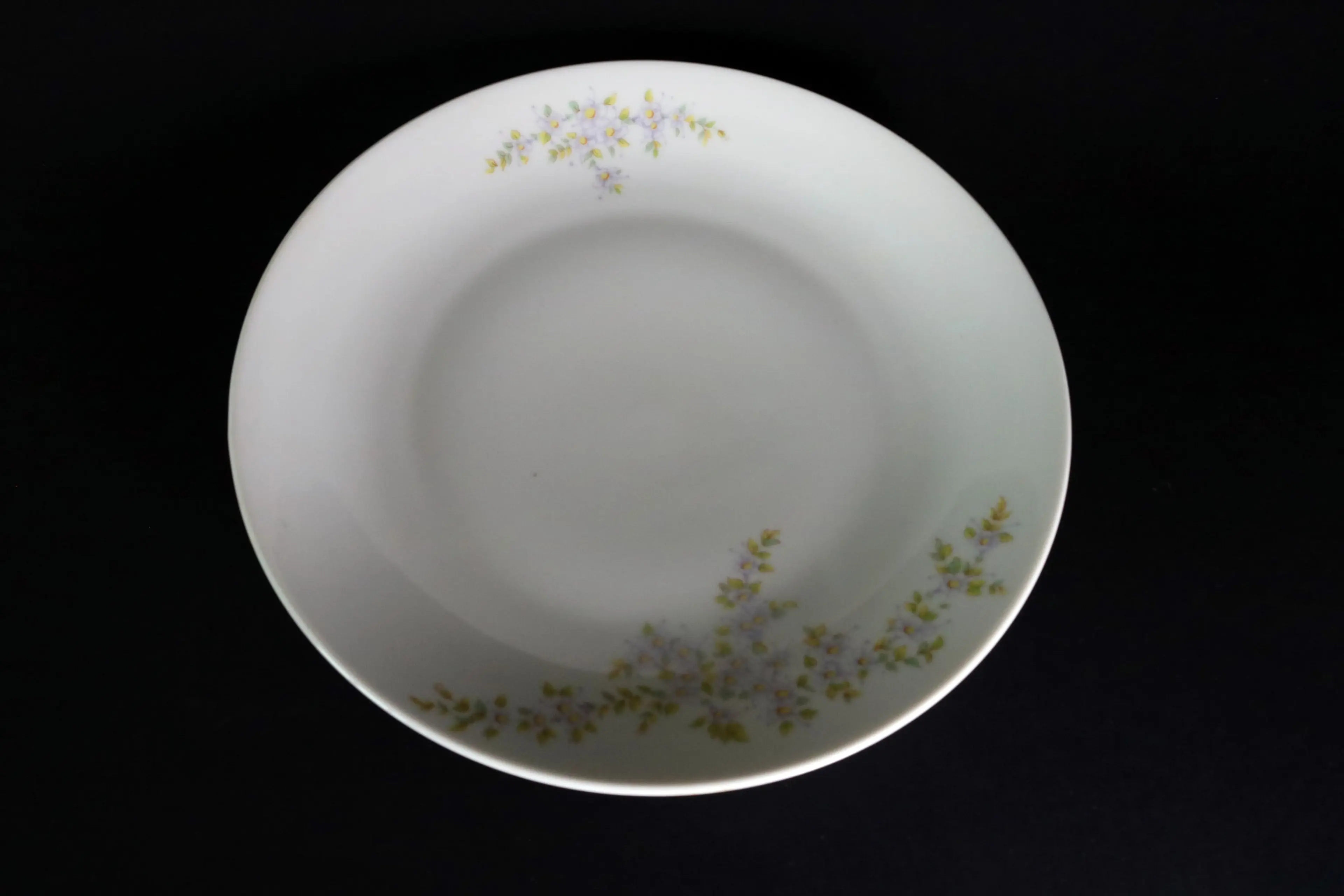 Porcelain Plate