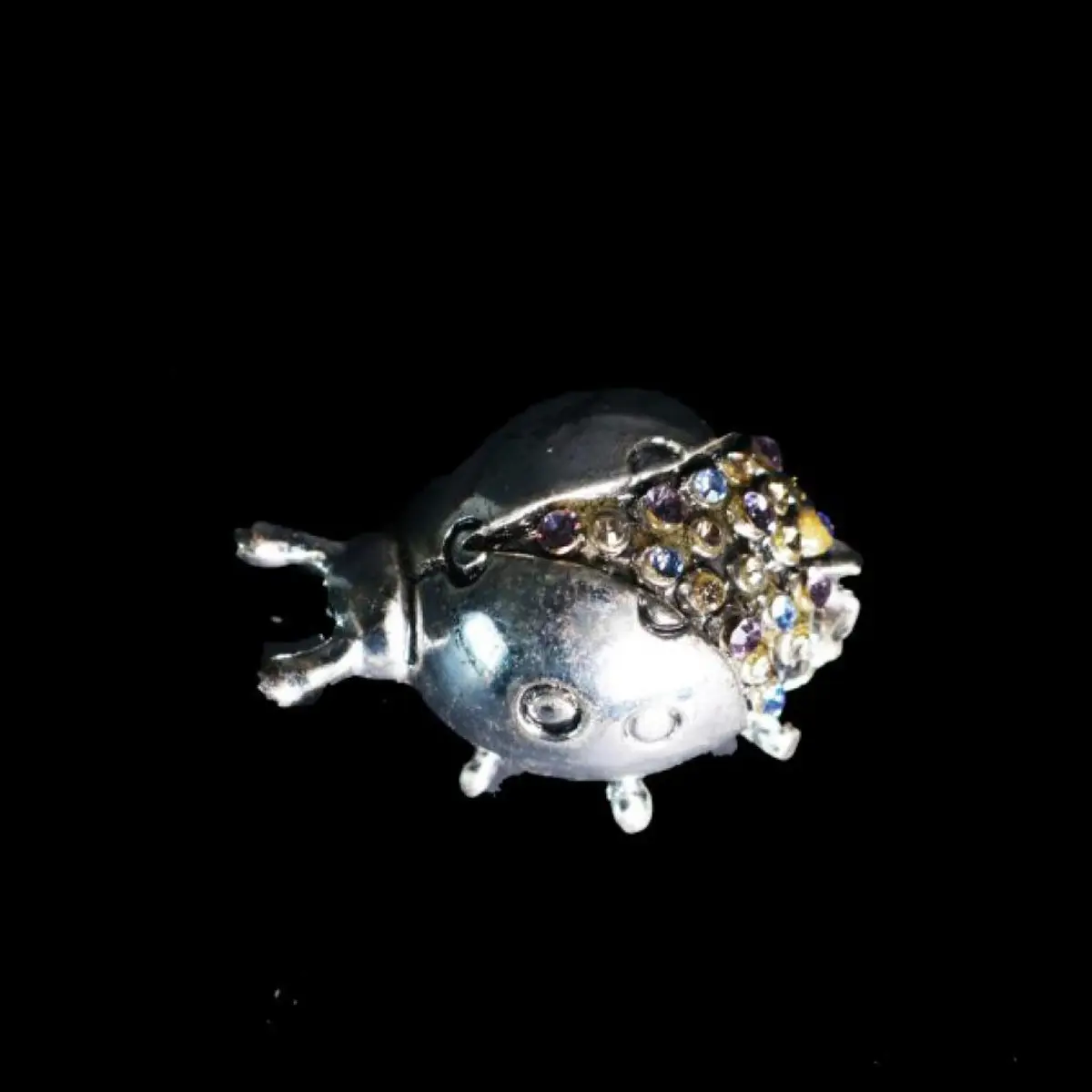 Silver Ladybird
