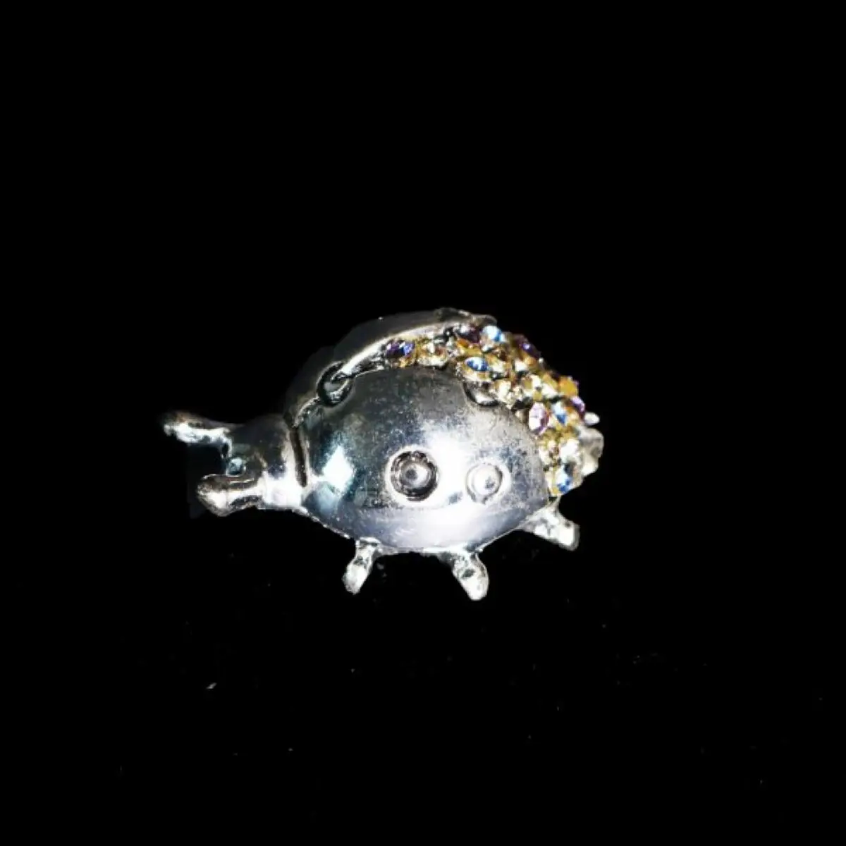 Silver Ladybird