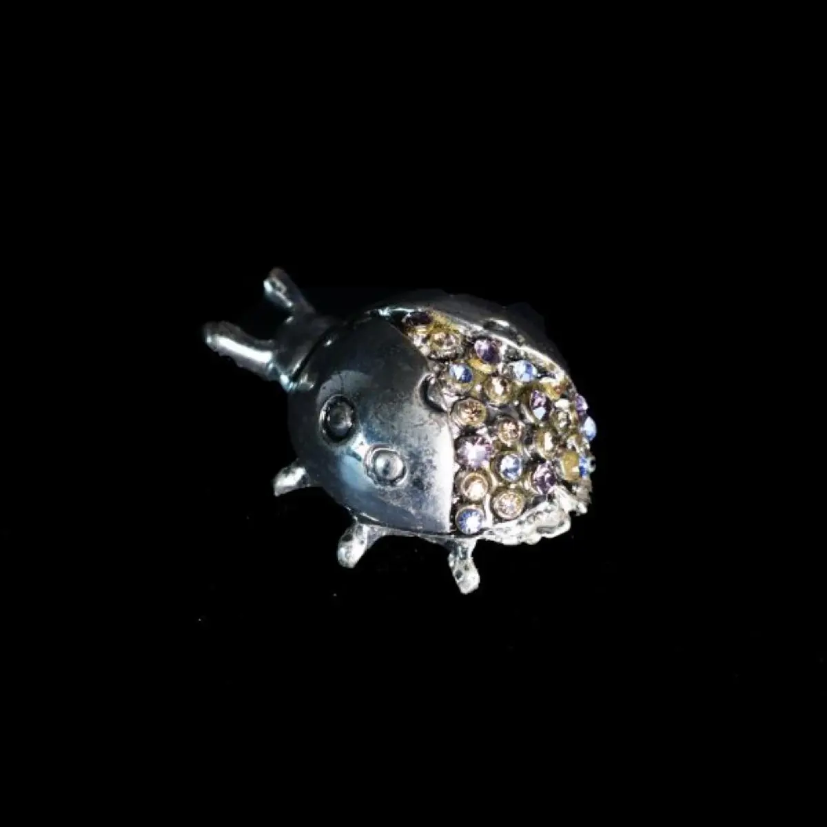 Silver Ladybird