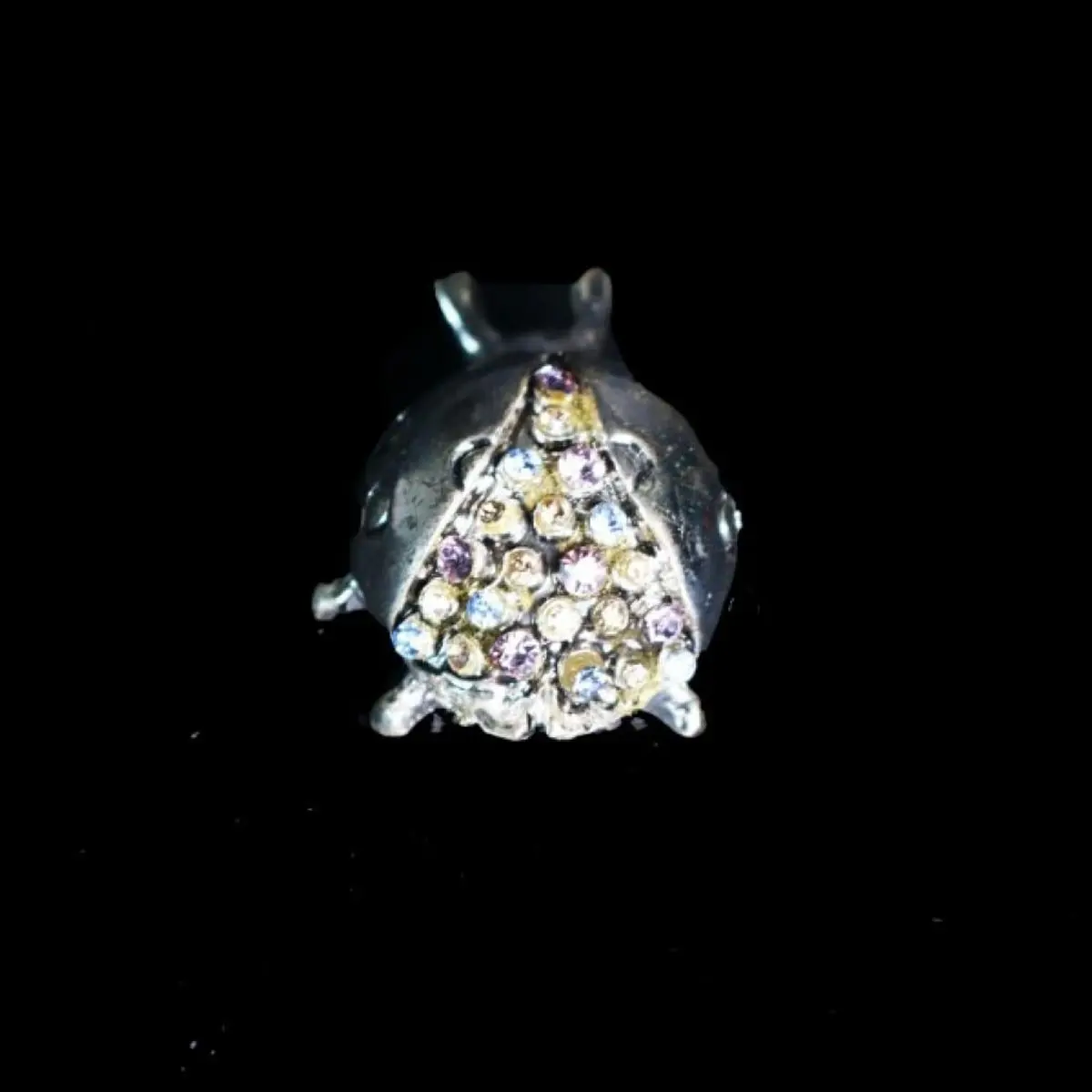 Silver Ladybird