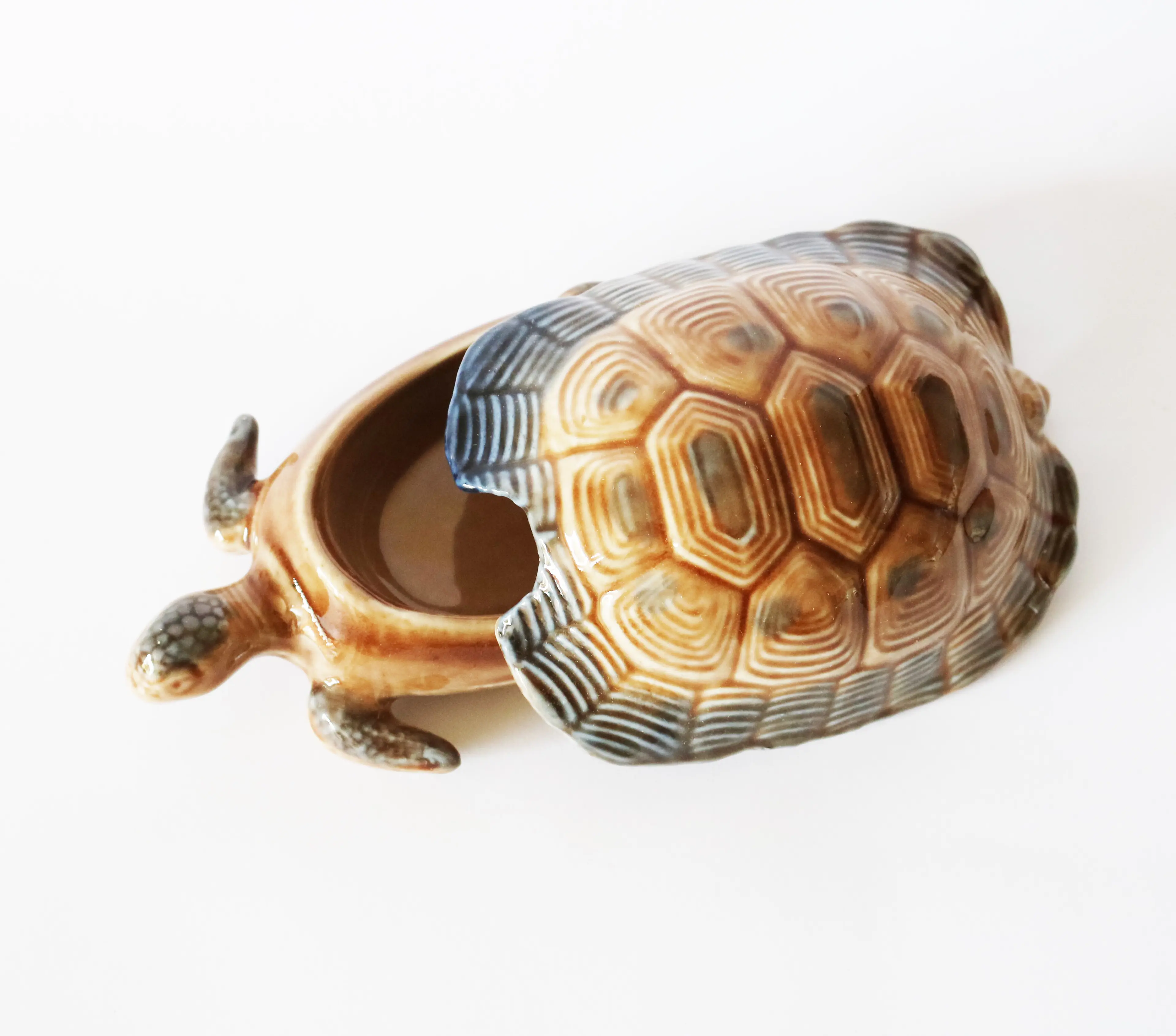 Tortoise Jewellery Box