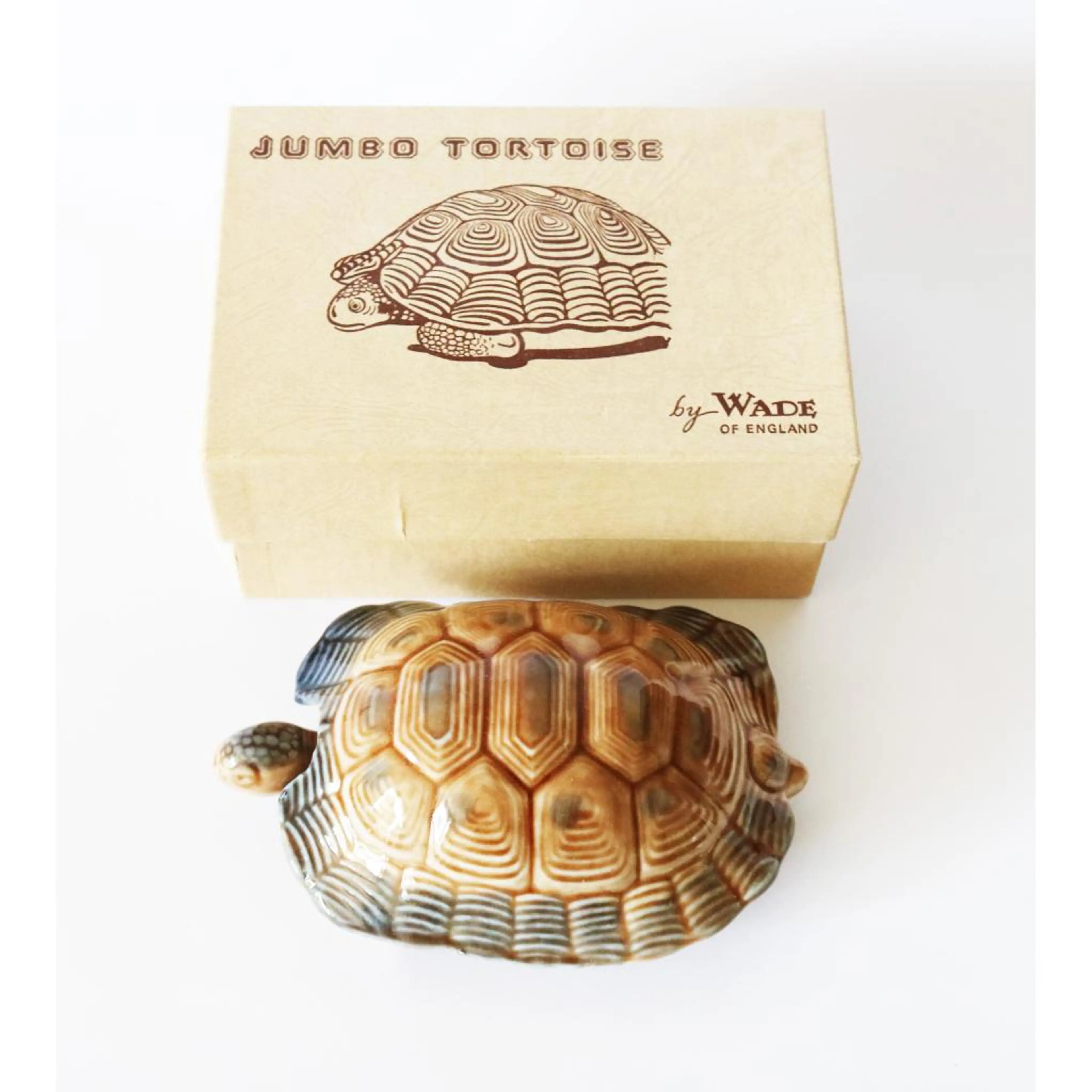 Tortoise Jewellery Box